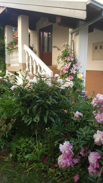 House Tudic Apartment Dreznik Grad Exterior photo
