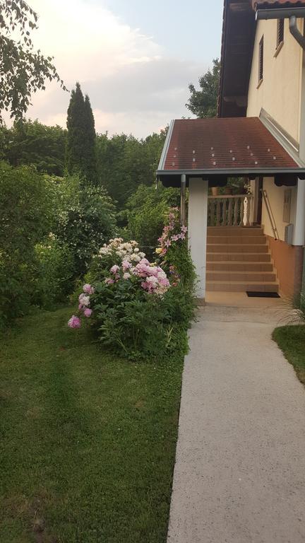 House Tudic Apartment Dreznik Grad Exterior photo