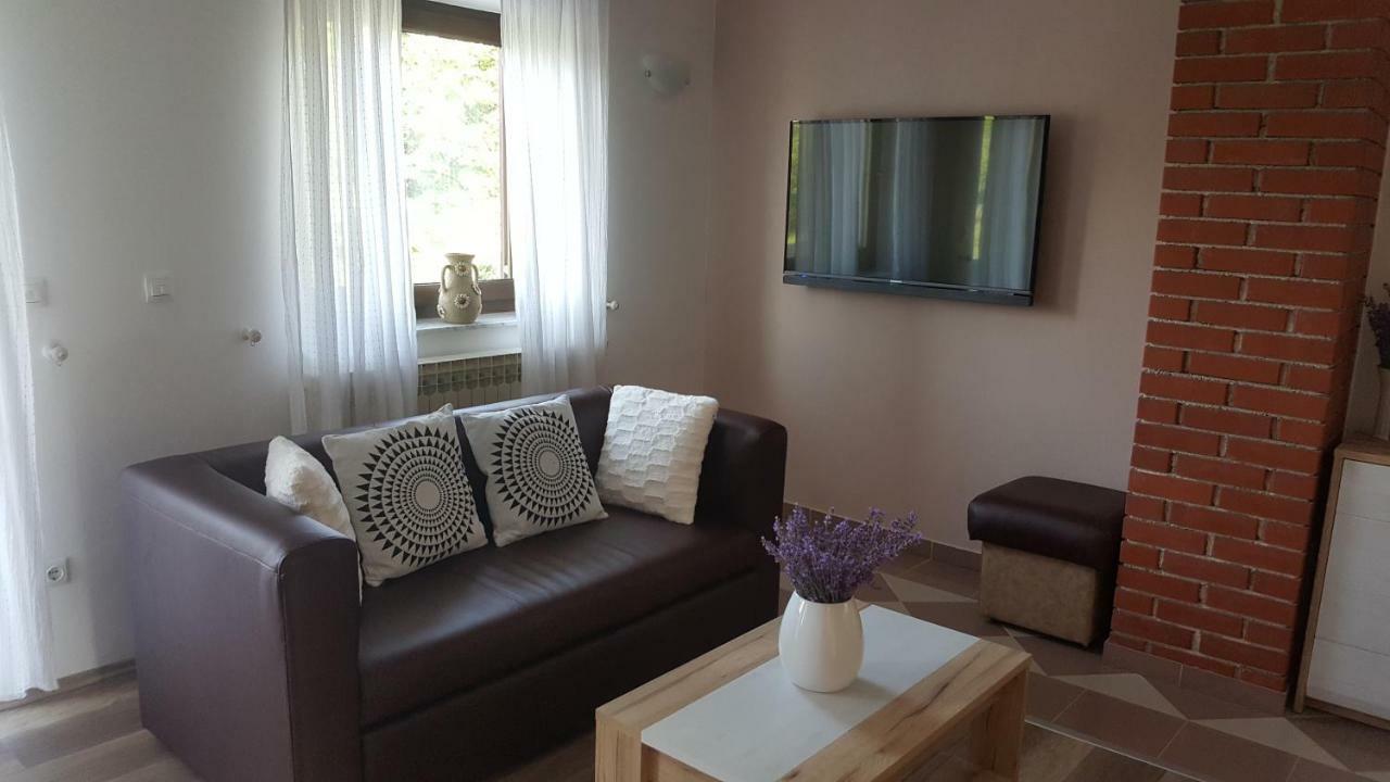 House Tudic Apartment Dreznik Grad Exterior photo